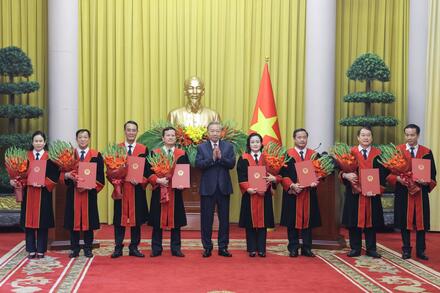 Tổng Bí thư, Chủ tịch nước Tô Lâm trao quyết định bổ nhiệm Thẩm phán TAND tối cao